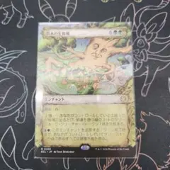 O Pisco様 リクエスト 2点 まとめ商品