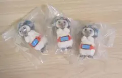 仮面にゃいだーガッチャード