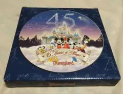 【新品保管品】カリフォルニア アナハイム ディズニーランド 45周年 絵皿