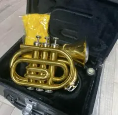 2025年最新】ポケットトランペットの人気アイテム - メルカリ