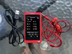 極美品　SONY ウォークマン NW-A50シリーズ 純正イヤホン・充電ケーブル 極美品 SONY ウォークマン NW-A50シリーズ 純正イヤホン・充電ケーブル