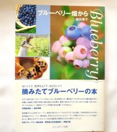 Item thumbnail for item 323cf3e3-7f28-46fb-9075-636234dd0939