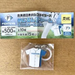 北海道日本ハムファイターズ めじるしチャーム ユニフォームver. 水谷選手