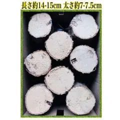 産卵木　止まり木　カブトムシ　クワガタ　昆虫用　　　8本　硬め 太めのサムネイル