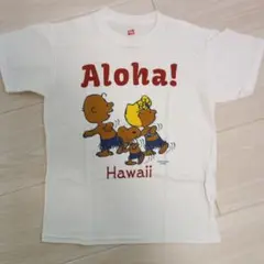Aloha! Hawaii Tシャツ