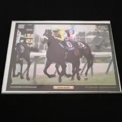 JRA競馬 デジタルフォト サークルオブライフ