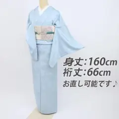 《上質◆色無地■淡い水色■植物地模様◆背紋◆略礼装に♪袷正絹着物◆IA11-1》