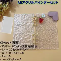 A6 バインダー リフィル30枚 推し活　シール帳　貯金 韓国 白波柄 家計簿