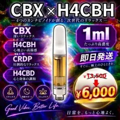 2026年最新】H4CBDの人気アイテム - メルカリ