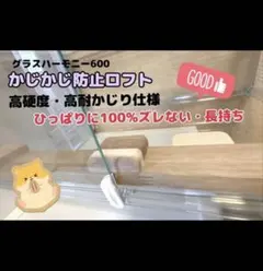 グラスハーモニー600 カジカジ防止ロフト ハムスターロフト - メルカリ