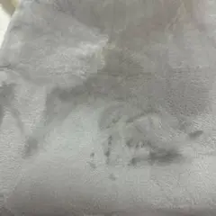 カーペット グレージュ