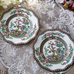 2025年最新】コールポート インディアンツリーの人気アイテム - メルカリ