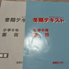 能開センター　小学5年の塾のテキスト　夏期冬期　解説＆確認＆発展＆総合テスト 小学5年 算数 テキスト・解答解説☆能開センター 中学受験 【公式通販】