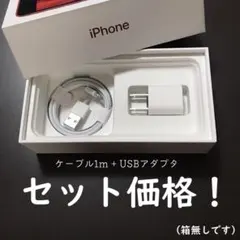 iPhone ケーブル ライトニングケーブル 充電器 USB コンセント