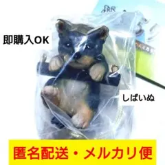 ひゃくまんさん！様 リクエスト 2点 まとめ商品