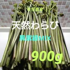山形県産 コゴミ塩漬け 900g 塩蔵 こごみ 山菜 野菜 - メルカリ