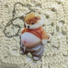 柴犬 キーホルダー豆柴 アクリル