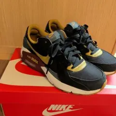 Nike Air Max EXCEE