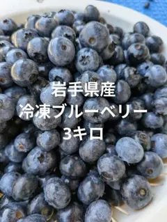 ひかりのこ様専用】冷凍ブルーベリー3kg - メルカリ