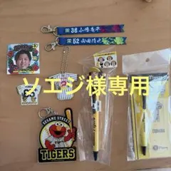 阪神タイガース 選手グッズセット