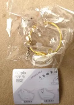 うちの子のけだまだま 犬のけだまだま 犬 チワワ 白 シープラ限定