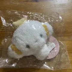 R*u様 サンリオ こぎみゅんるりこ様専用