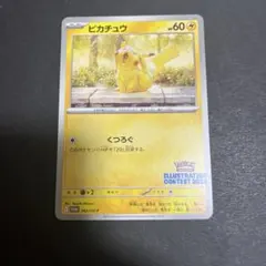 2025年最新】ピカチュウ プロモ 2024の人気アイテム - メルカリ