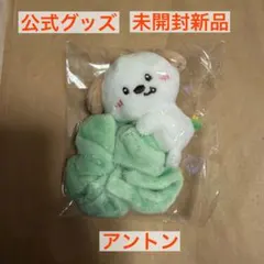 RIIZE アントン モンリョンイ シュシュ 2026年最新】Riize アントン シュシュの人気アイテム - メルカリ