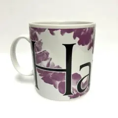 スターバックス シティマグ ハワイ 20oz 旧コレクター シリーズ