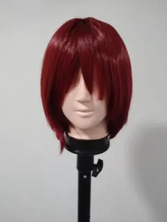 2025年最新】宝鐘マリン コスプレ 社長の人気アイテム - メルカリ