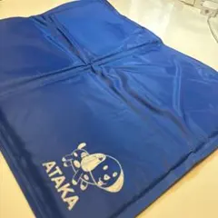 Item thumbnail for item 01d777ad-5030-4ca0-bc9f-6bee926504a5