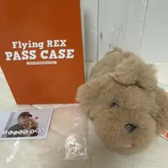 2025年最新】白濱亜嵐 レックスの人気アイテム - メルカリ