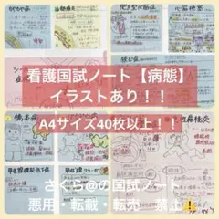 2025年最新】保健師過程の人気アイテム - メルカリ