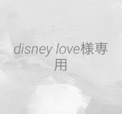 disney love様 リクエスト 2点 まとめ商品