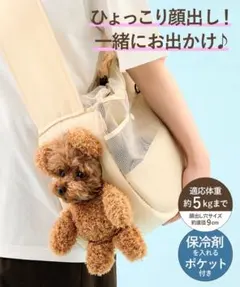 3COINS 顔出しベアバック 新品未使用 スリーコインズ 犬 散歩 - メルカリ