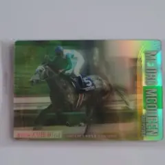 メジロマックイーン 第105回天皇賞（春）G1