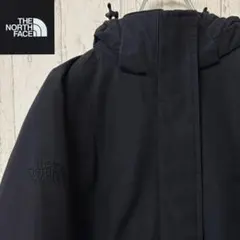【激レア】THE NORTH FACE マクマードパーカー　ダウンジャケット