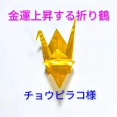 2026年最新】チョウピラコ様の人気アイテム - メルカリ