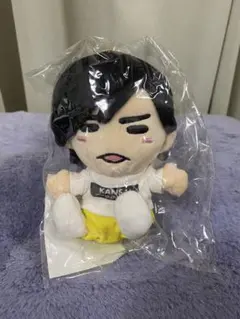 岡﨑彪太郎 こたちゃん ちびぬい - メルカリ