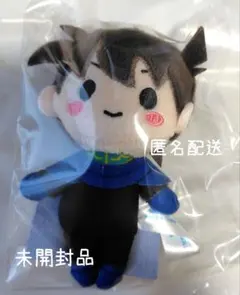 名探偵コナン セガくじ ぬいぐるみ まとめ売り 2025年最新】コナン くじ ぬいぐるみの人気アイテム - メルカリ