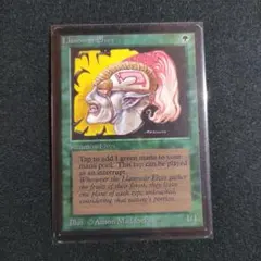 2026年最新】ラノワールのエルフの人気アイテム - メルカリ