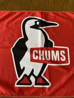 CHUMS チャムス クッションカバー ブービーバード ストライプ両面