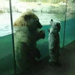 ♡まゆみ様専用ページ♡