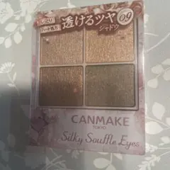 新品未開封　キャンメイク　シルキースフレアイズ　09 アーバンカーキ