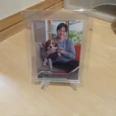 大谷翔平　愛犬デコピン共演　MVP受賞記念カード　【24時間限定発売】