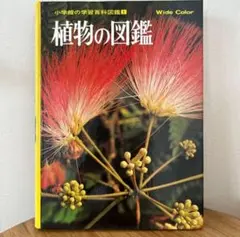 Item thumbnail for item b67c0f79-3656-4c2a-9d5b-6242059a7596