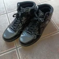 Item thumbnail for item f9f86495-e7d4-4f14-9e69-6d970a039c47