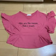 CECIL McBEE ショート丈トップス