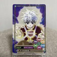 C29 カイト ハンターハンター HUNTER×HUNTERハイパーバトルカード