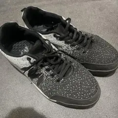 Item thumbnail for item 9b5114cf-29e9-4e0b-9b50-8bc1d1194624